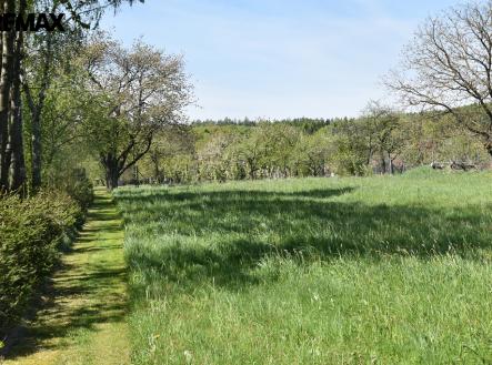 Prodej pozemku, zemědělská půda, 1 938 m²