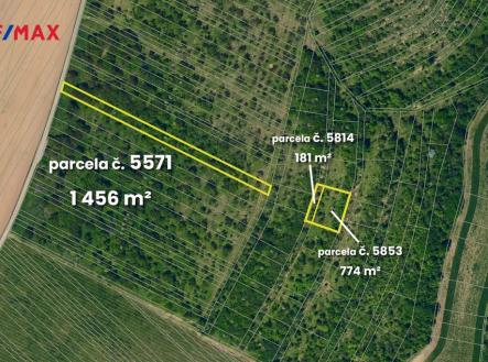 Prodej pozemku, zemědělská půda, 5 541 m²