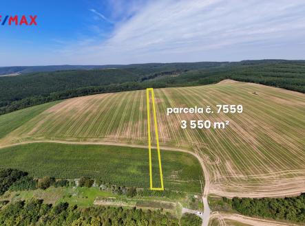 Prodej pozemku, zemědělská půda, 5 541 m²