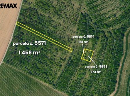 Prodej pozemku, zemědělská půda, 5 541 m²