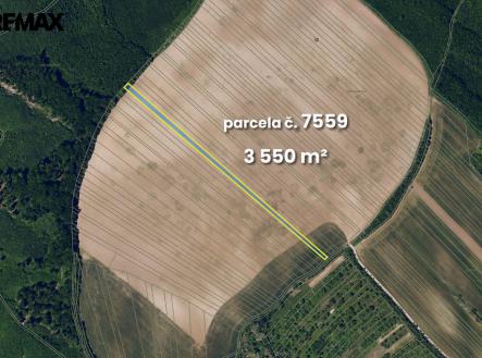 Prodej pozemku, zemědělská půda, 5 541 m²