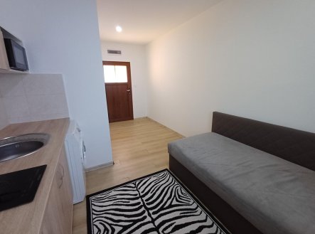 Pronájem bytu, garsoniéra, 24 m²