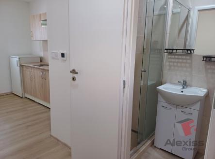 Pronájem bytu, garsoniéra, 24 m²