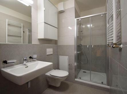 Pronájem bytu, 1+kk, 36 m²