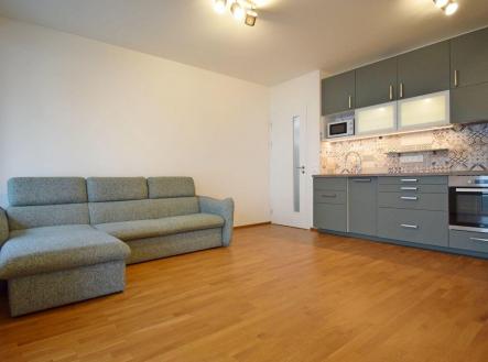 Pronájem bytu, 2+kk, 49 m²