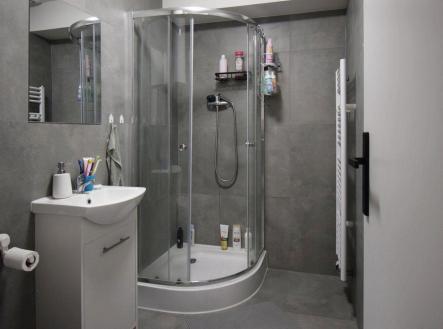 Pronájem bytu, 1+kk, 15 m²