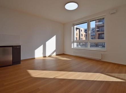 Pronájem bytu, 1+kk, 38 m²