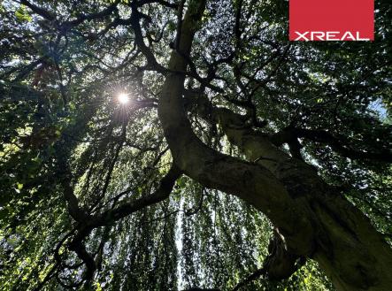 Prodej domu/vily, 157 m²