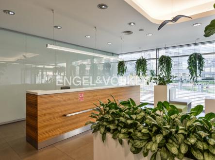 Pronájem kanceláře, 1 145 m²