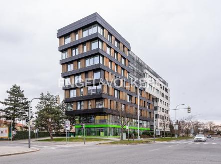 Pronájem kanceláře, 531 m² obrázek