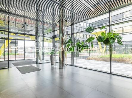 Pronájem kanceláře, 909 m²