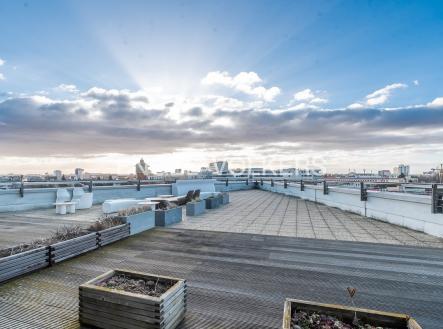 Pronájem kanceláře, 504 m²