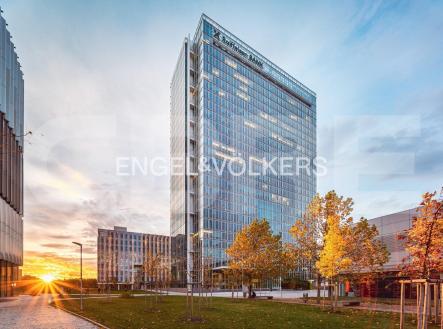 Pronájem kanceláře, 145 m²