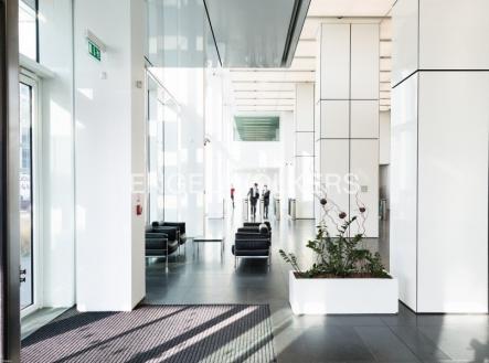 Pronájem kanceláře, 145 m²