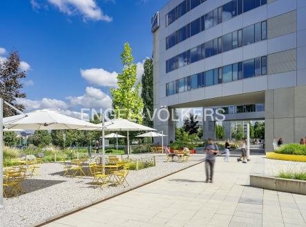 Pronájem kanceláře, 372 m²