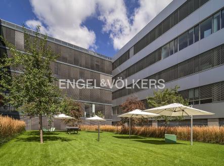 Pronájem kanceláře, 372 m²