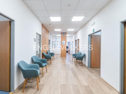 Pronájem kanceláře, 350 m²