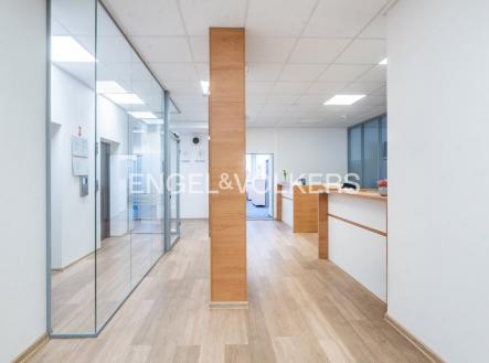 Pronájem kanceláře, 350 m²