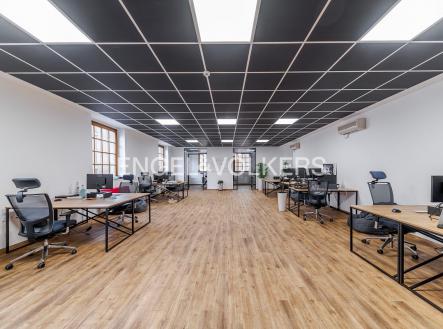 Pronájem - kanceláře, 541 m²