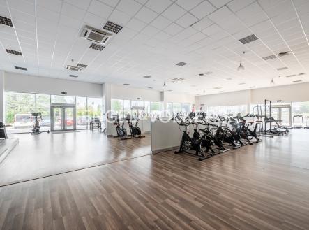 Pronájem obchodní prostor, 491 m²