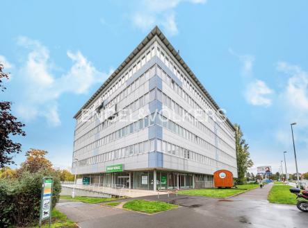 Pronájem - obchodní prostor, 287 m² obrázek