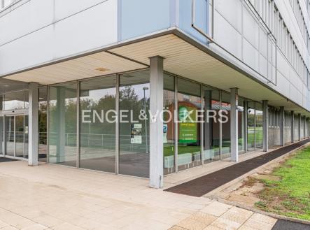 Pronájem obchodní prostor, 95 m²