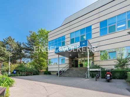 Pronájem kanceláře, 25 m²