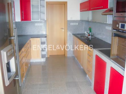 Pronájem - dům/vila, 330 m²