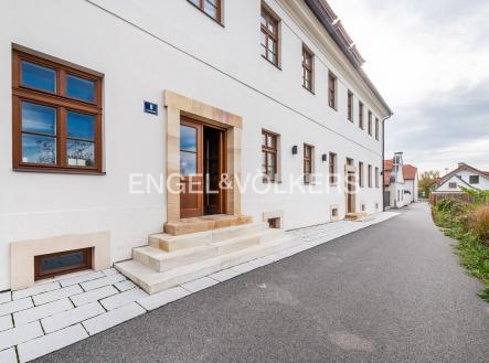 Pronájem obchodní prostor, 49 m²