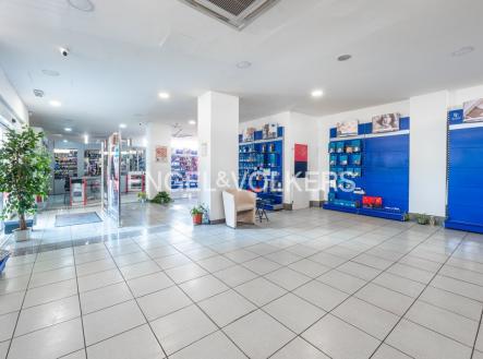 Pronájem obchodní prostory, 340 m²