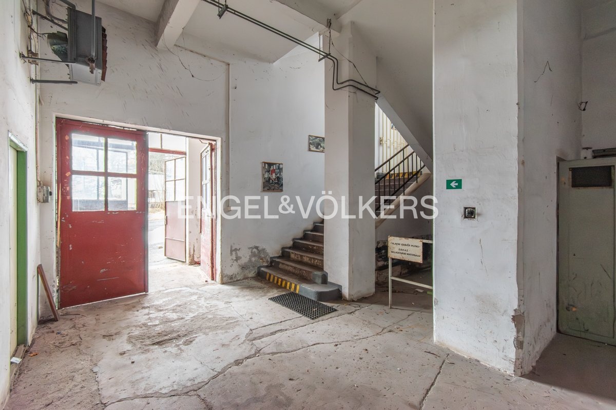 DSC_0015-Enhanced-NR_web