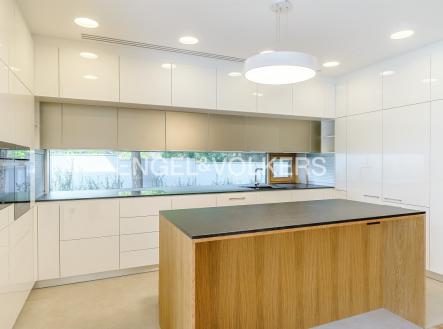 Pronájem - dům/vila, 523 m²