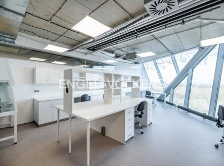 Pronájem komerčního objektu, výroba, 905 m²