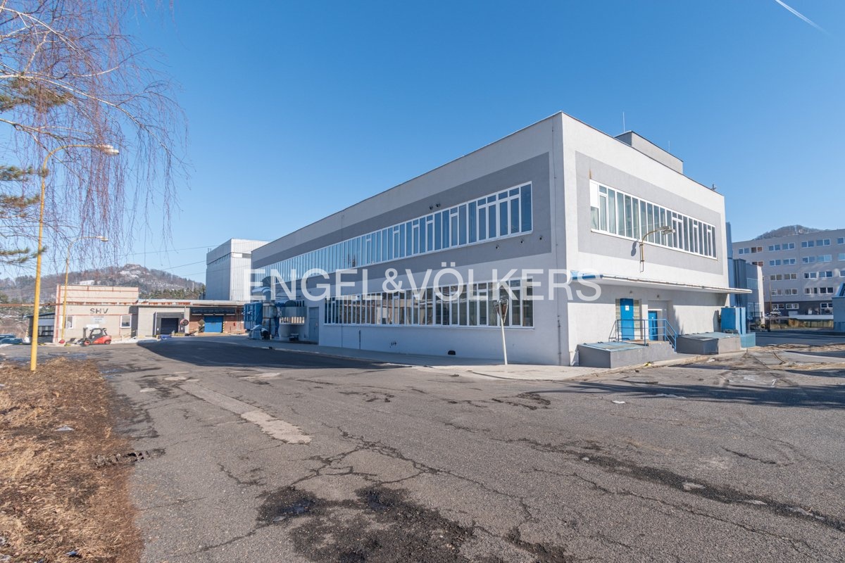 DSC_0359_edit_web (1)