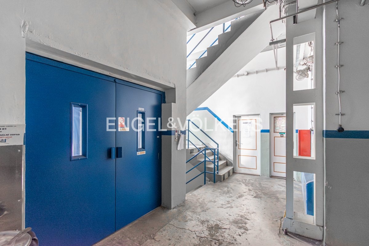 DSC_0351-Enhanced-NR_web