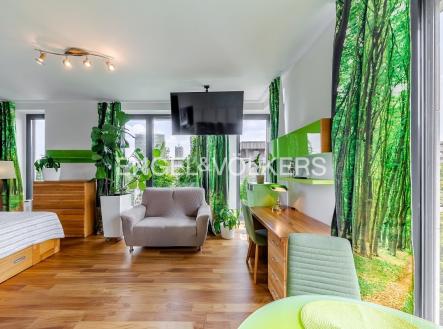 Pronájem bytu, 1+kk, 45 m²