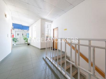 Pronájem - kanceláře, 29 m²