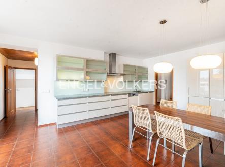 Pronájem bytu, 6+kk, 293 m²