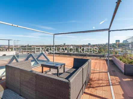 Pronájem bytu, 3+kk, 288 m²