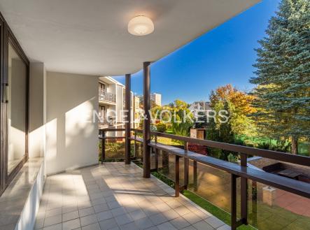 Pronájem domu/vily, 436 m²