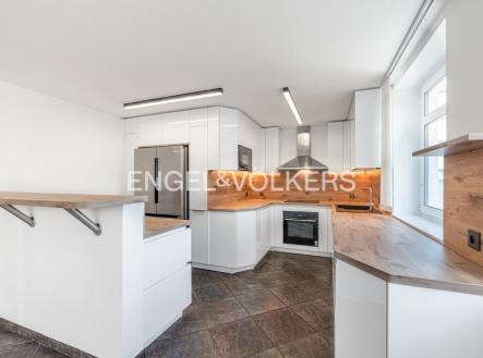 Pronájem domu/vily, 360 m²