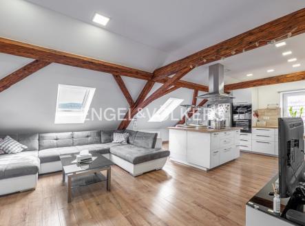 Prodej - nájemní dům, 297 m²