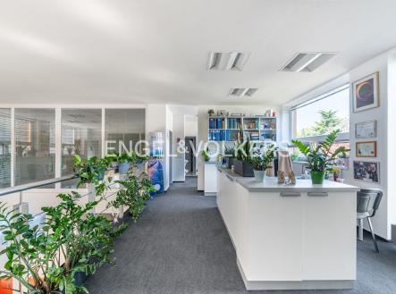 Pronájem kanceláře, 252 m²