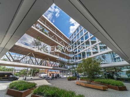 Pronájem kanceláře, 595 m²