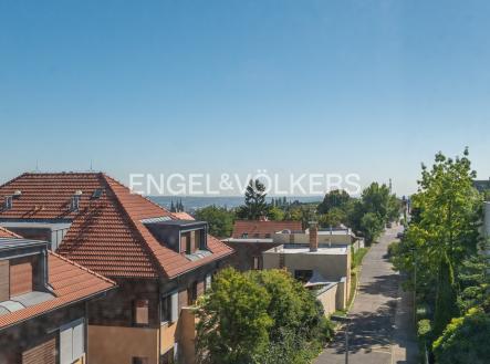 Pronájem domu/vily, 316 m²