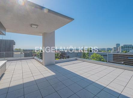 Pronájem domu/vily, 330 m²