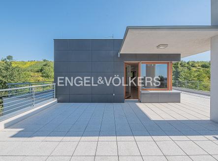 Pronájem domu/vily, 330 m²