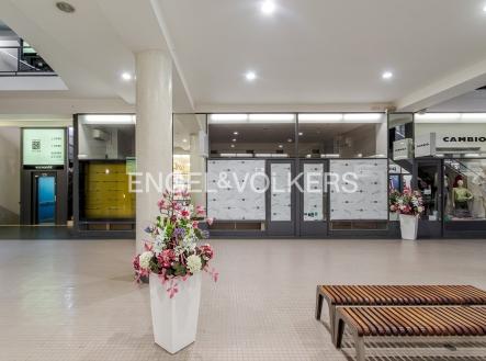 Pronájem obchodní prostor, 77 m²