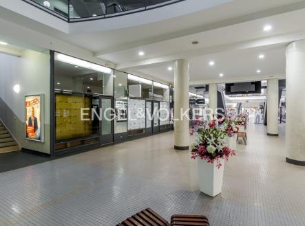 Pronájem obchodní prostor, 77 m²