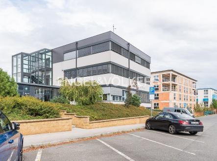 Pronájem obchodní prostor, 260 m²